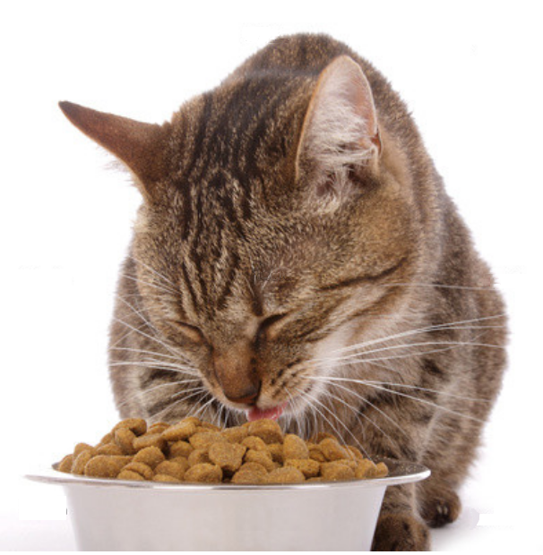 FRISKIES Croquettes à la dinde et légumes pour chat stérilisé 7,5kg pas  cher 